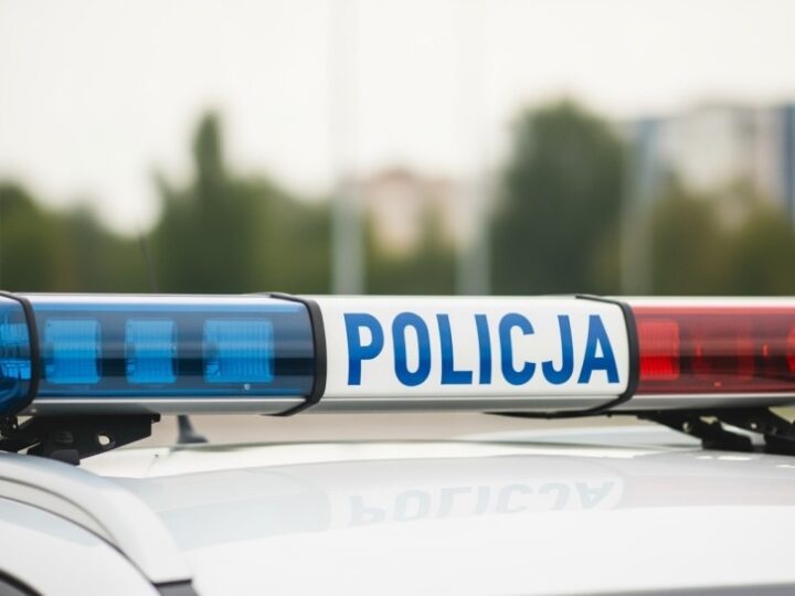 Dzieci odkrywały tajniki pracy włocławskich policjantów